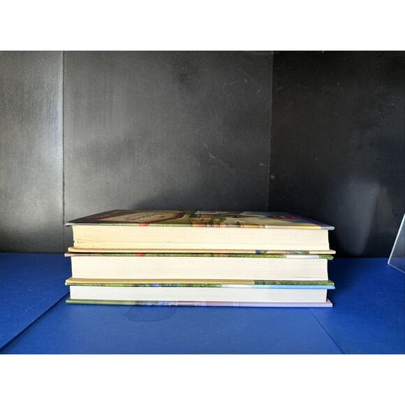 3 book lot!! Including Where Hope Dwells by Elizabeth Ludwig (2023, Hardcover) - Picture 10 of 12